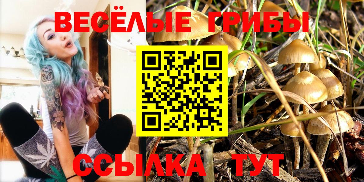 Старый Оскол  Псилоцибиновые грибы Cubensis  Вход с VPN 